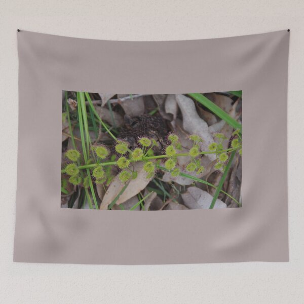 Item preview, Green Sundew designed and sold by lezvee.