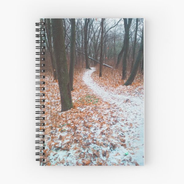 Item preview, Path covered with snow and leading through a forest, natural background  designed and sold by helenkaiy.