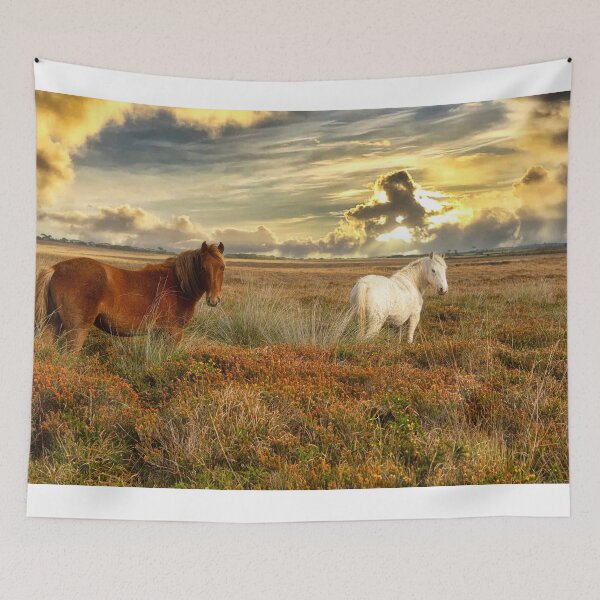 Item preview, Cornish Ponies at sunset designed and sold by kathleenjean.