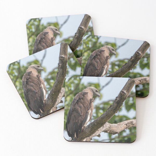 Item preview, Crested Fish Eagle on a tree designed and sold by Pravine Chester.