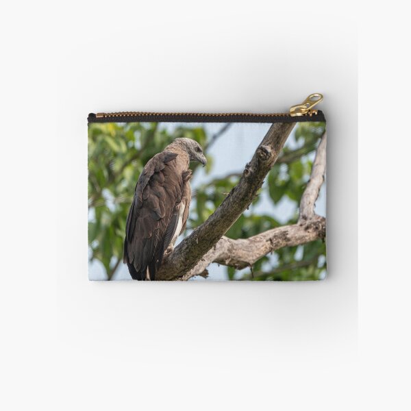 Item preview, Crested Fish Eagle on a tree designed and sold by Pravine Chester.