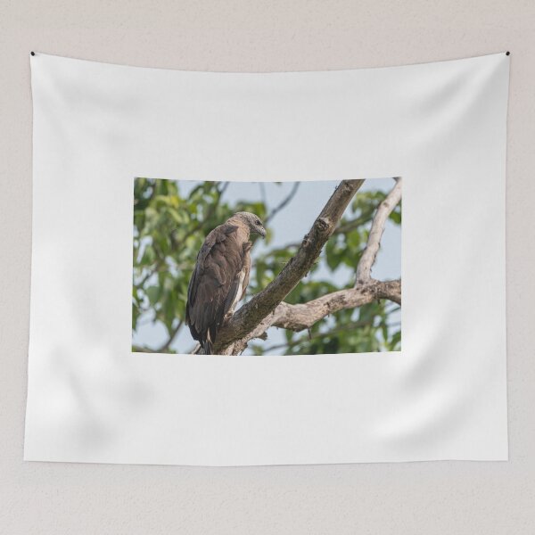 Item preview, Crested Fish Eagle on a tree designed and sold by Pravine Chester.