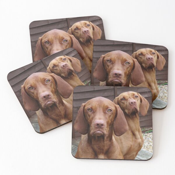 Item preview, stern looks from the bosses-vizsla fun designed and sold by 1andydesign.