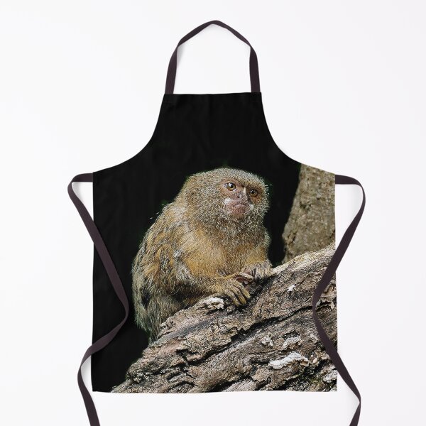 Item preview, r969 / New Finition 2021 " Petit Singe " Ouistiti Pygmée "(h) Olavia-Olao Okaio Créations designed and sold by o.okaïo.