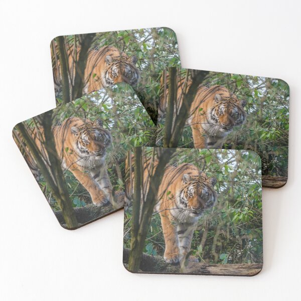 Item preview, Amur tiger up a tree designed and sold by photosbygemmad.