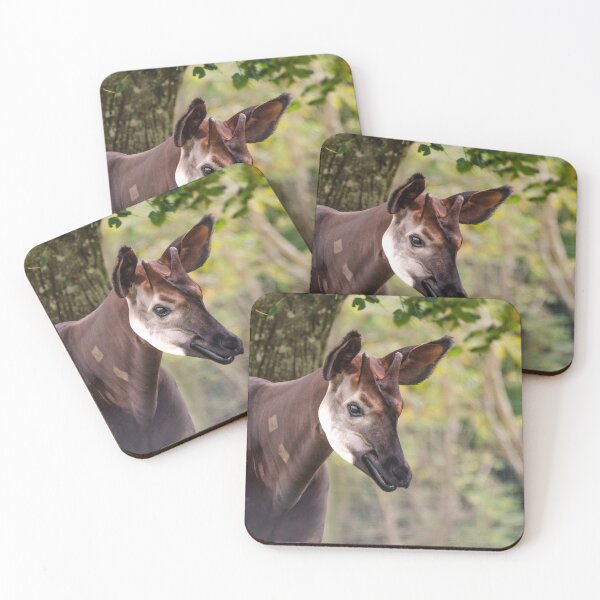 Item preview, Male okapi posing designed and sold by photosbygemmad.