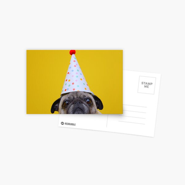 Its My Birthday Postcard