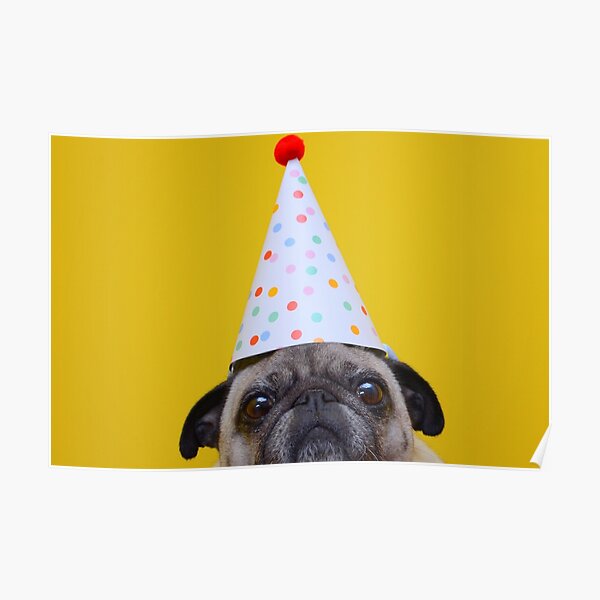 Its My Birthday Poster