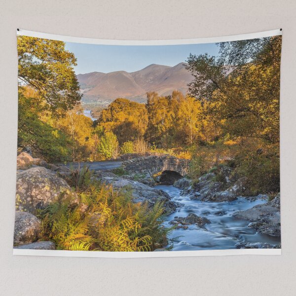 Item preview, Ashness Bridge designed and sold by TomHolmesPhoto.