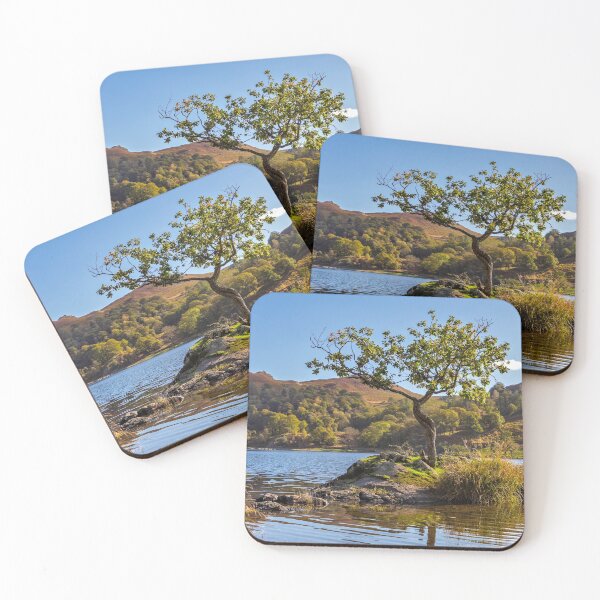 Item preview, Rydal Water designed and sold by TomHolmesPhoto.