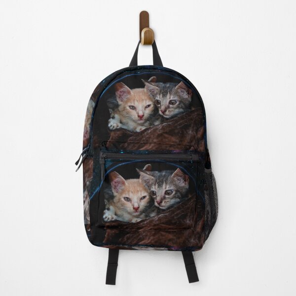 Item preview, Zoonosis Kittens For Adoption designed and sold by alabca.