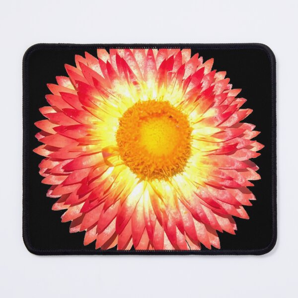 Item preview, Sunrise Flower designed and sold by margotb70.