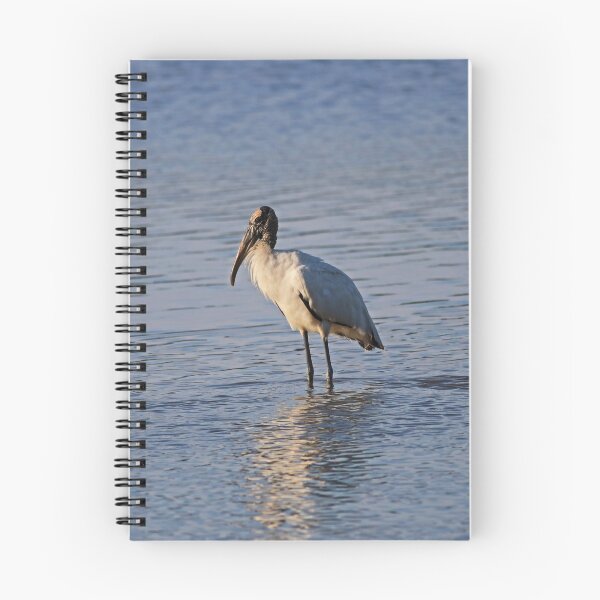 Item preview, An Amiable Mood designed and sold by Michiale.