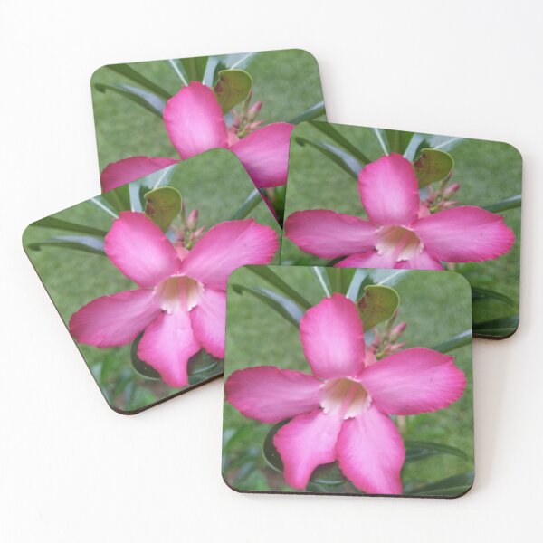 Item preview, Pink flower  designed and sold by Paint84.