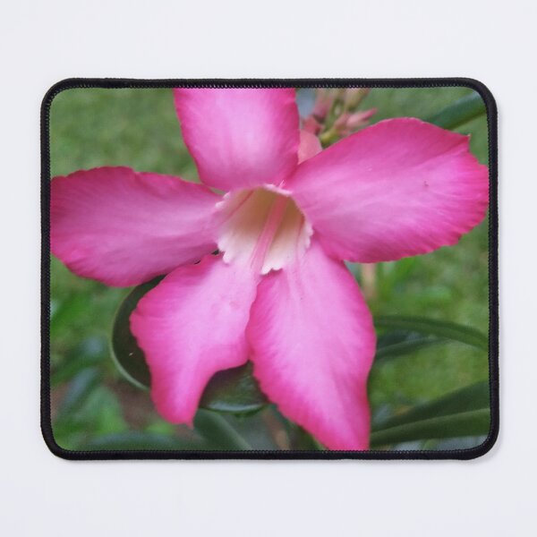 Item preview, Pink flower designed and sold by Paint84.