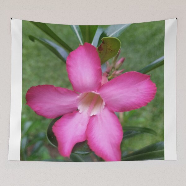Item preview, Pink flower  designed and sold by Paint84.