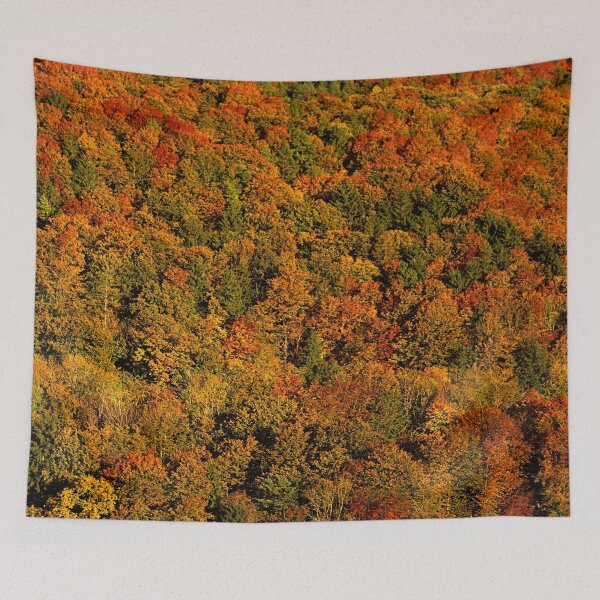 Item preview, Huge autumn forest designed and sold by frankuffmann.
