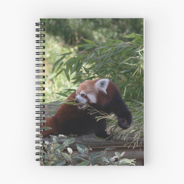 Item preview, Little Red Panda designed and sold by LeMondeDeJayh.