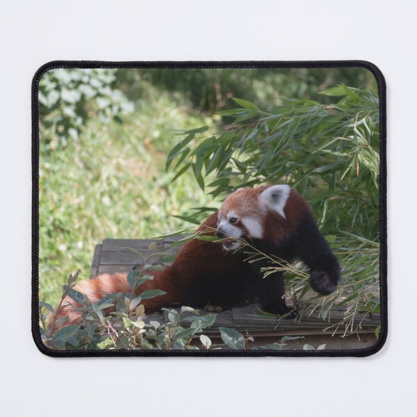 Item preview, Little Red Panda designed and sold by LeMondeDeJayh.