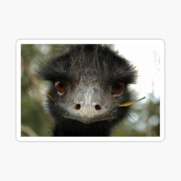Emu Sticker