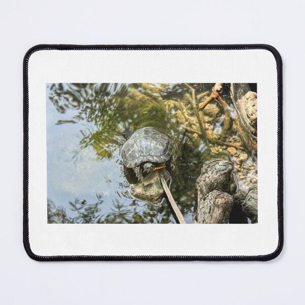 Item preview, Summer Turtle Pond Photograph designed and sold by Rachel Blackburn.