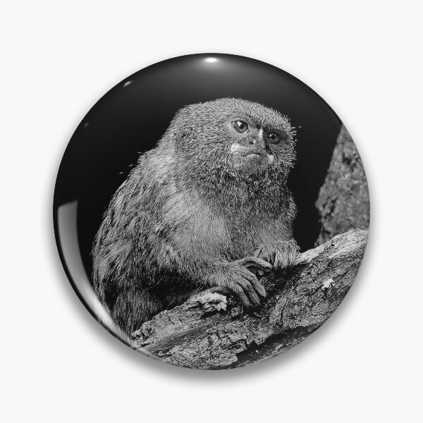 Item preview, r968 / New Finition 2021 " Petit Singe "  Ouistiti Pygmée  "(h)  Olavia-Olao Okaio Créations designed and sold by o.okaïo.