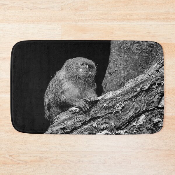 Item preview, r968 / New Finition 2021 " Petit Singe "  Ouistiti Pygmée  "(h)  Olavia-Olao Okaio Créations designed and sold by o.okaïo.