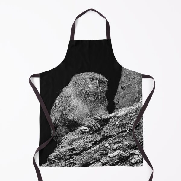 Item preview, r968 / New Finition 2021 " Petit Singe " Ouistiti Pygmée "(h) Olavia-Olao Okaio Créations designed and sold by o.okaïo.