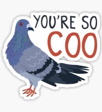 You're So Coo Sticker