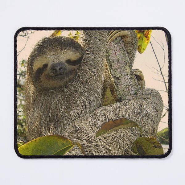 Item preview, adorable sloth designed and sold by Jamcolors.