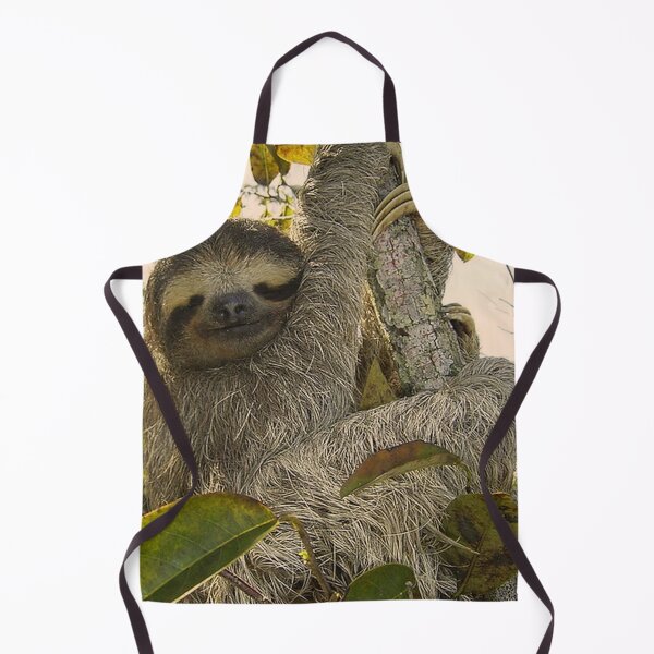 Item preview, adorable sloth designed and sold by Jamcolors.