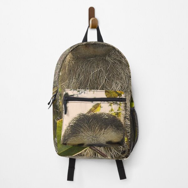 Item preview, adorable sloth designed and sold by Jamcolors.