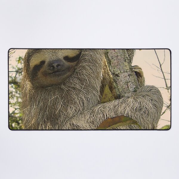 Item preview, adorable sloth designed and sold by Jamcolors.