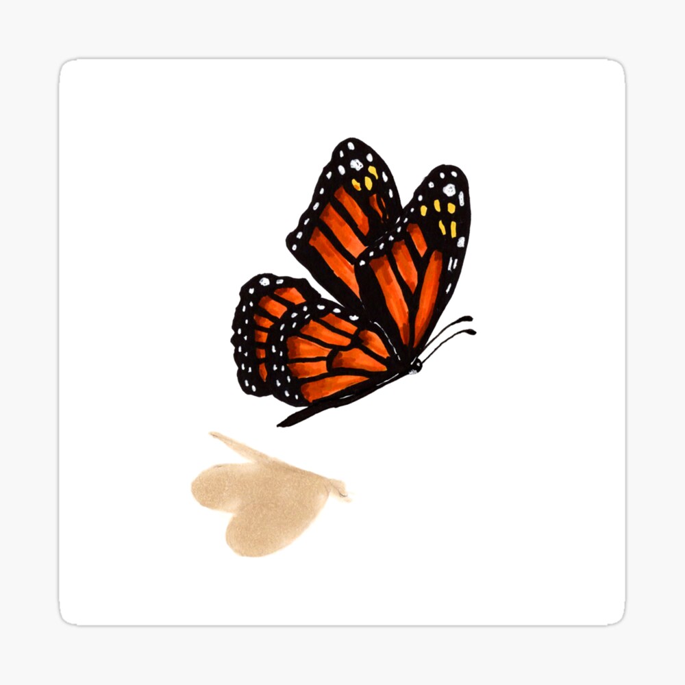 Monarch butterfly silhouette isolated on white Vector Image