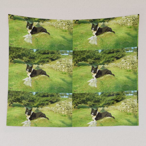 Item preview, Man's Best Friend designed and sold by Michael Haslam.