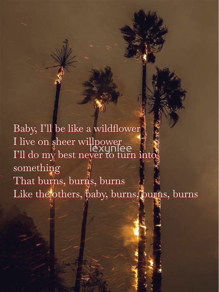 "Wildflower Wildfire Lana del Rey Blue Banisters lyrics" Sticker for