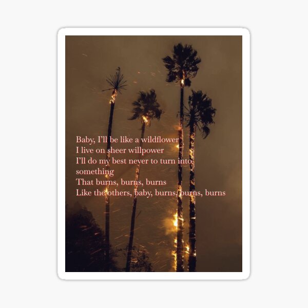 "Wildflower Wildfire Lana del Rey Blue Banisters lyrics" Sticker for