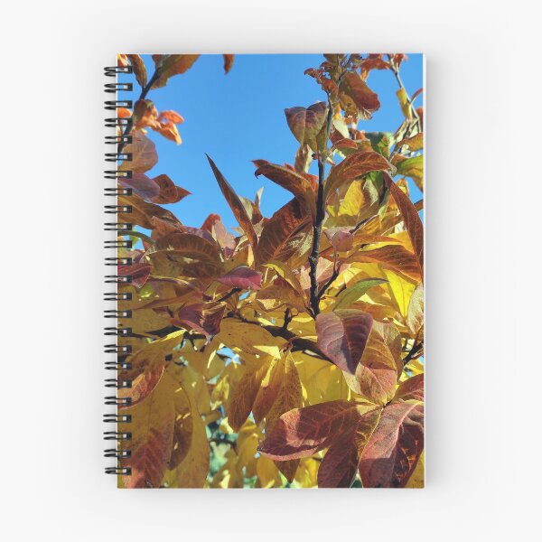 Item preview, Fall foliage designed and sold by Gourmetkater.
