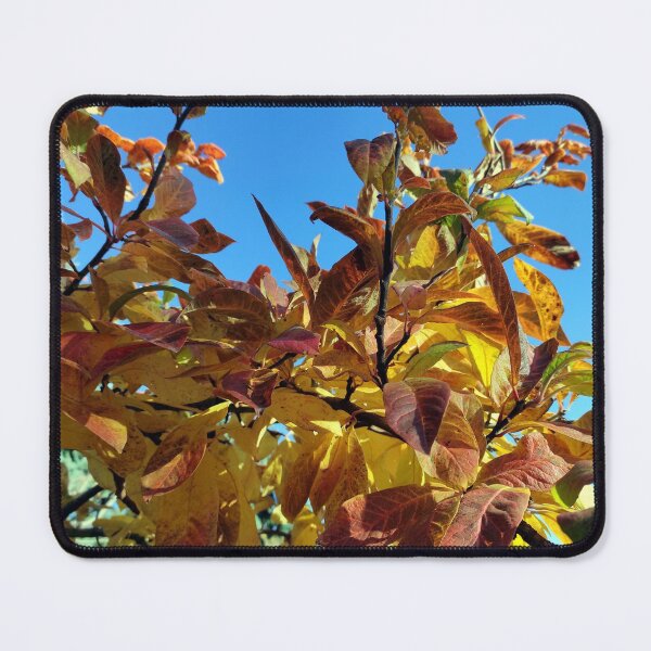 Item preview, Fall foliage designed and sold by Gourmetkater.