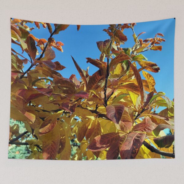Item preview, Fall foliage designed and sold by Gourmetkater.