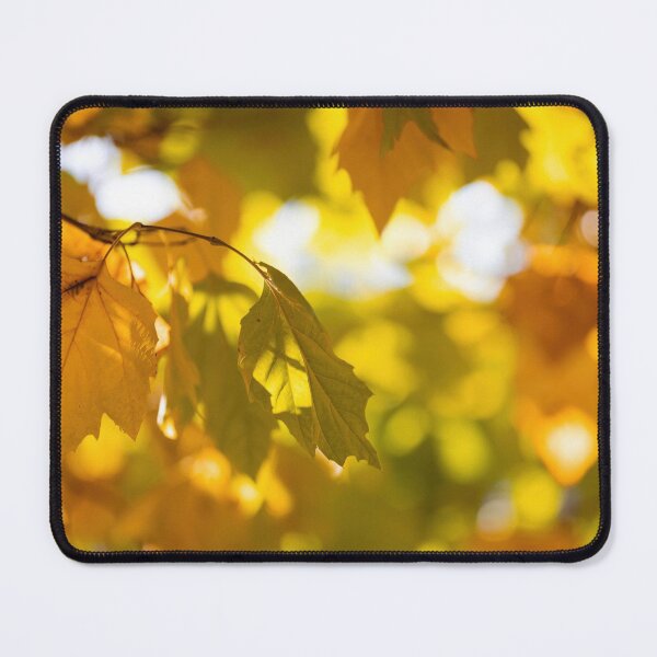 Item preview, Autumn Vibes designed and sold by Mark Liebenberg.