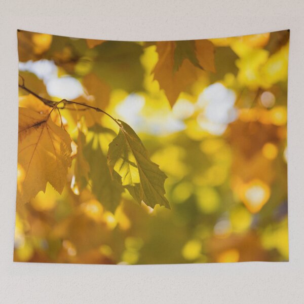 Item preview, Autumn Vibes designed and sold by Mark Liebenberg.
