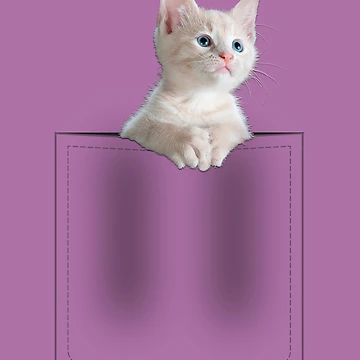 Artwork thumbnail, Cat In Pocket by LRGraphics