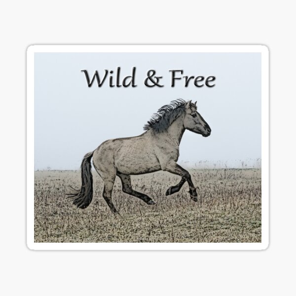 Wild Horses Running Free Wooden Plaque – Huey's Crafty Barn