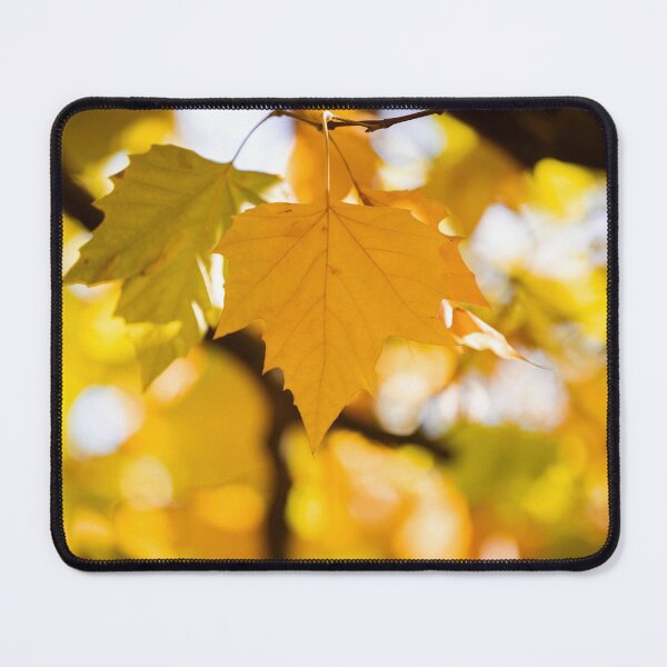 Item preview, Autumn Leaves designed and sold by Mark Liebenberg.