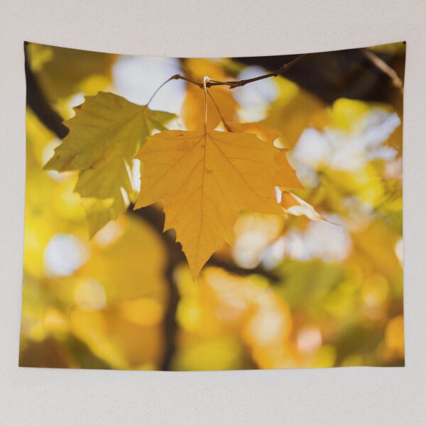 Item preview, Autumn Leaves designed and sold by Mark Liebenberg.