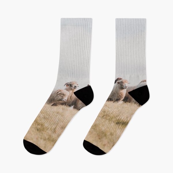 Item preview, Pretty Cute Sheep On The Field designed and sold by PaulinaChmiel.