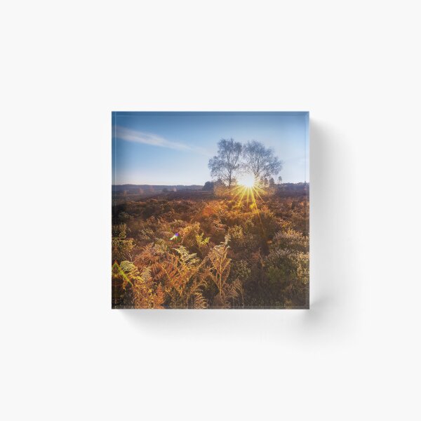 Item preview, Cold Morning designed and sold by Svetlana Sewell.