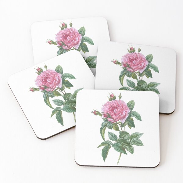 Item preview, Pink rose botanical illustration fairies vintage style designed and sold by biodivher.
