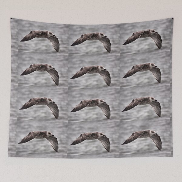 Item preview, Young Lesser Black-backed Gull In Full Flight designed and sold by Jo Nijenhuis.